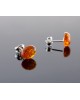 Amber earrings - Oval cagnac